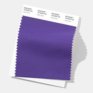 Pantone's Color of the Year 2018 - Ultra Violet. #pantone #coloroftheyear #ultraviolet The Beast Movie, Interior House Colors, Beauty Salon Logo, Pantone Color Of The Year, Science Lesson Plans, Food Poster Design, Beauty Hacks Video, Salon Decor, Color Swatch