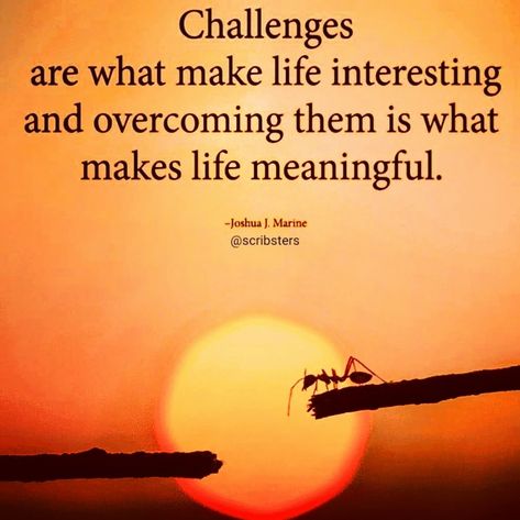 Challenge Quotes About Challenges Inspirational, Challenging Quotes, Lifes Challenges Quotes, Thanksgiving Quotes Inspirational, Better Not Bitter, Challenges Quotes, Challenge Quotes, Prayers For Strength, Challenge Accepted