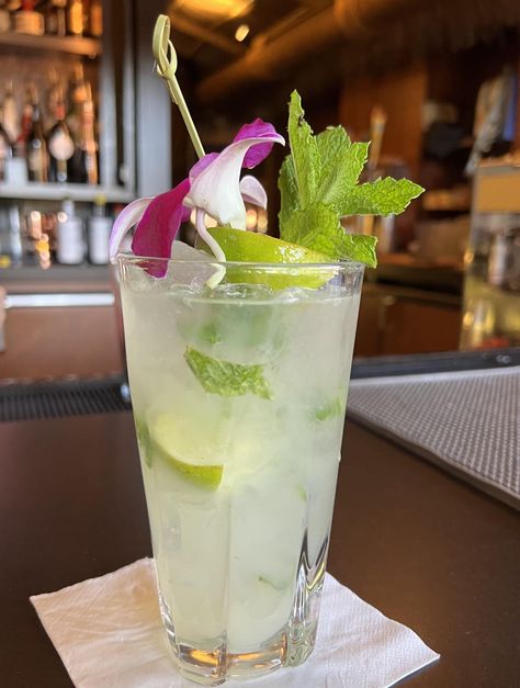 Not drinking at Disney? We rounded up the best non-alcoholic drinks at Walt Disney World and Disneyland Disney World Drinks, Disney Mocktails Non Alcoholic, Sisters Disney, Best Non Alcoholic Drinks, Ginger Beer Cocktail, Disney Drinks, Disney Polynesian, Mango Syrup, Drinking Around The World