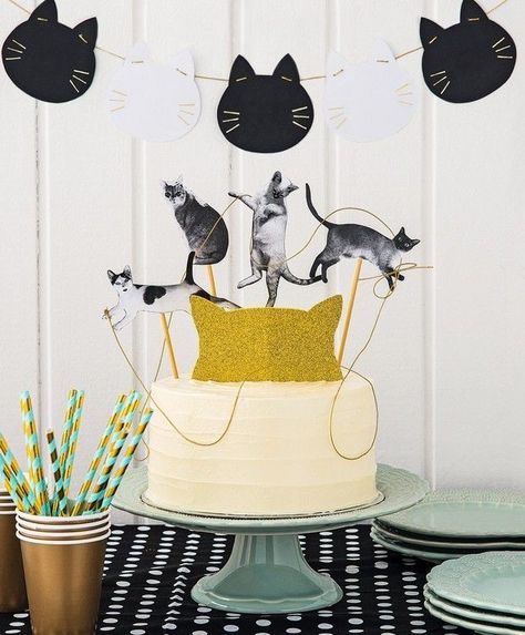 Cat Themed Birthday Party, Kitten Birthday, Cat Birthday Party, Cat Cake, Dog Party, Cat Party, Cat Birthday, 8th Birthday, Childrens Party