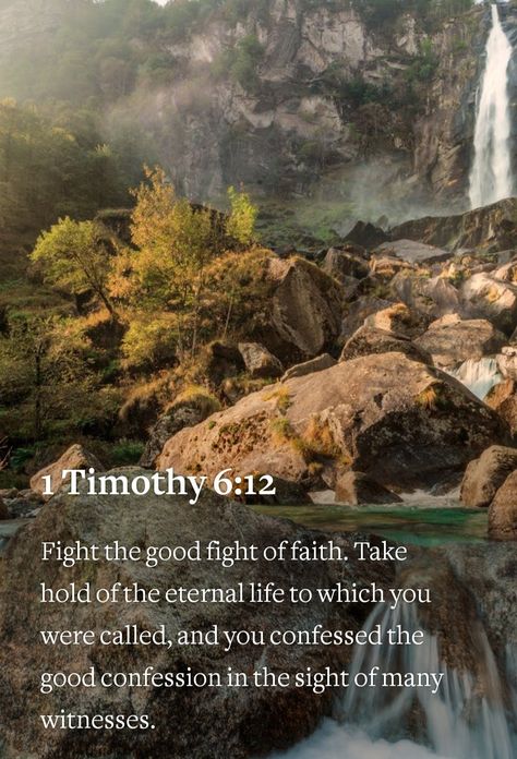 1 Timothy 6 12, 1 Timothy 6, 1 Peter 3, Bible Verses Kjv, 1 Timothy, Bible Scripture, Eternal Life, Bible Scriptures, A Blessing