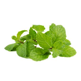 Mint Leaf Peppermint, #Mint, #Peppermint, #Leaf Peppermint Leaf, Leaf Png, Mint Leaf, Peppermint Leaves, Brochure Layout, Corporate Brochure, Mint Leaves, Free Pictures, Free Photo