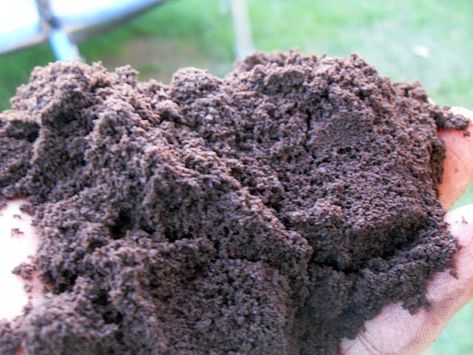 Used Coffee Grounds, Camping Projects, Garden Remedies, Backyard Chicken Farming, Vegetable Garden For Beginners, Coffee Truck, Uses For Coffee Grounds, Coffee Grinds, Garden Compost