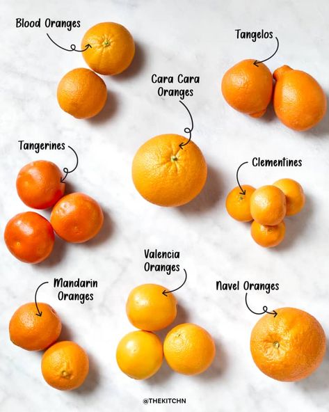 Types Of Oranges, Navel Oranges, Valencia Orange, Winter Fruit, Orange Rind, Grey Tea, Simply Recipes, Orange Tree, Food Facts