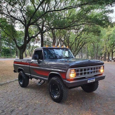 1979 Ford Truck, Bronco Truck, Vintage Pickup Trucks, Classic Ford Trucks, Old Ford Trucks, Old Pickup Trucks, Truck Yeah, Classic Pickup Trucks, Farm Trucks