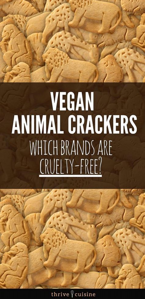 Explore the world of vegan animal crackers with helpful tips and delicious plant-based food ideas. Vegan Animal Crackers, Snacks Dairy Free, Animal Crackers Recipe, Accidentally Vegan Foods, Accidentally Vegan, Vegan Food List, Vegan Benefits, Vegan Candy, Vegan Tips