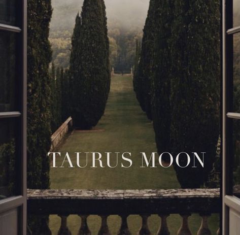 Taurus Moon Aesthetic, Horoscope Aesthetic, Photocards Aesthetic, Aesthetic Journals, Jupiter Sign, Saturn Sign, Taurus Girl, Astrology Aesthetic, Mercury Sign