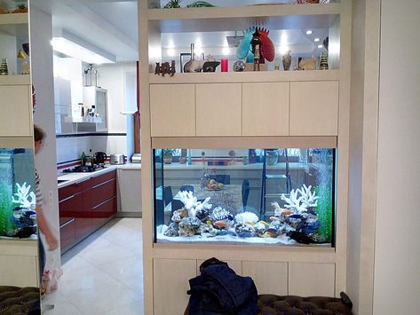 Warm Home Aesthetic, Designs For Living Room, Wall Aquarium, Latest Living Room Designs, Aquarium Ideas, Bedroom Interior Design Luxury, Home Aquarium, Minimalist Apartment, Ceiling Design Modern