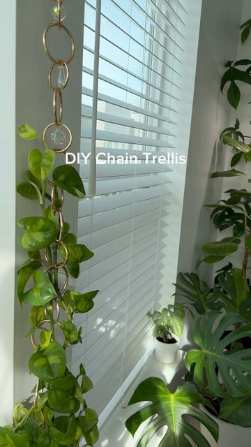 Plant Chain Trellis, Diy Chain Trellis, Chain Trellis For Plants, Plant Charms Diy, Indoor Trellis Ideas, Diy Plant Trellis, Chain Trellis, Plant Setup, Houseplant Trellis