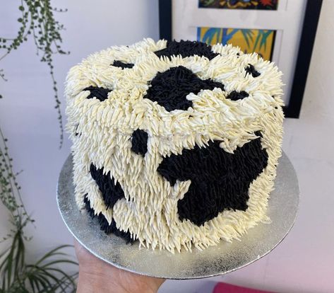 Cow Themed Birthday Cake, Black Bday Cake, Shaggy Cake, Cow Print Cakes, Dairy Queen Ice Cream Cake, Cow Cake, Cow Cakes, Boys 1st Birthday Party Ideas, Cake Decorating For Beginners