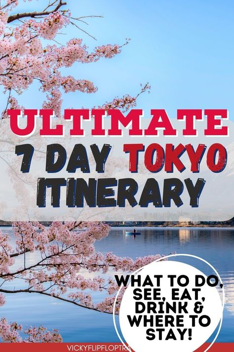 So while there is so much to see and do in Tokyo, having a rough plan can help ensure you see all the important parts – especially if you’re only there for a week. This 7-day Tokyo itinerary helps you squeeze in as much of the must-sees and dos as possible, but also giving you time to act spontaneously too. Tokyo Itinerary, Japan Travel Destinations, Festival Guide, Visit Tokyo, Itinerary Planning, Japanese Gardens, Tokyo Travel, Tokyo Disneyland, Travel Website