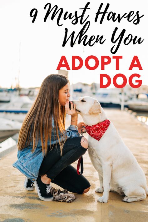 Dog Adoption Announcement, New Puppy Checklist, How To Be Single, Adopting A Dog, Rescue Puppies, Dog Essentials, Dog List, Crazy Dog Lady, Dog Facts