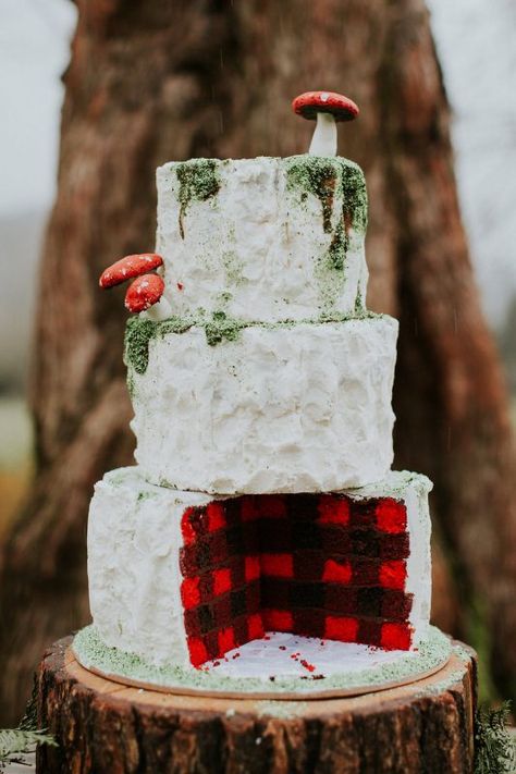 Plaid Lumberjack Wedding Cake Red And Black Cake, Lumberjack Wedding, Winter Wedding Food, Plaid Cake, Forest Shoot, Crazy Wedding Cakes, Dreamy Forest, Plaid Wedding, Winter Wedding Planning