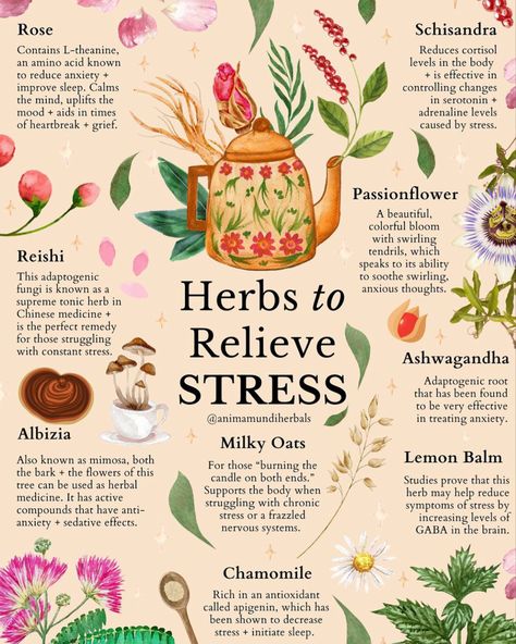 444 Medicinal Herbs Garden, Medical Herbs, Magia Das Ervas, Magic Herbs, Herbal Apothecary, Natural Healing Remedies, Herbal Healing, Herbal Magic, Herbs For Health