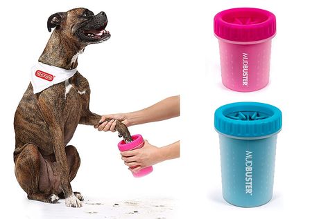 Dog Paw Cleaner, Names Dog, Muddy Dog, Pet Smell, Tiktok Famous, Doberman Dog, Paw Cleaner, How To Clean Suede, Food Dog