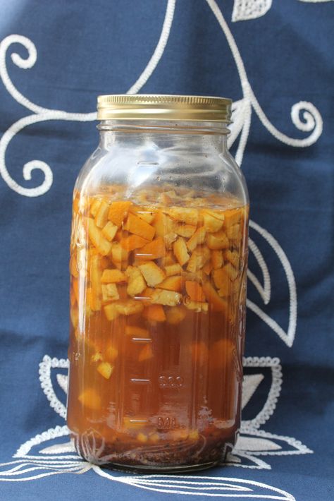 Mulling Spices, Fermentation Recipes, Anise Seed, Vinegar And Honey, Candied Orange Peel, Herbal Apothecary, Natural Healing Remedies, Herbs For Health, Food Preservation