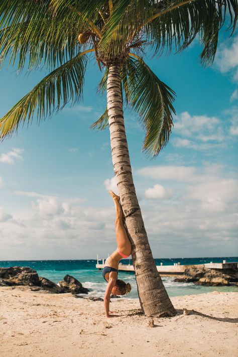 Beach yoga on a palm tree in Cozumel, Mexico 🌴🙃 Yoga Beach Poses, Beach Yoga Poses, Florida Palm Trees, Yoga Aesthetic, Disney Pics, Summer Picture Poses, Summer Things, Cozumel Mexico, Brand Shoot