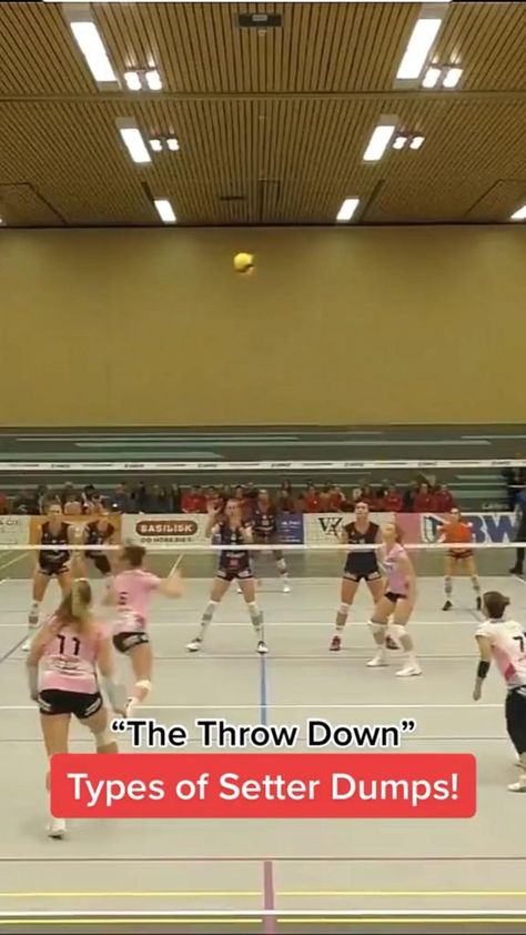 Best Volleyball Plays, Volleyball Setter Drills, Volleyball Saves, Setter Volleyball, Volleyball Plays, Volleyball Jokes, Volleyball Libero, Volleyball Gifs, Volleyball Conditioning