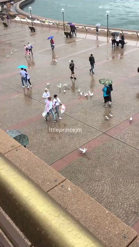 mel⁷ ✨ on Twitter: "hyunjin minho and jisung getting attacked by seagulls in sydney australia #StrayKidsInSydney @Stray_Kids #StrayKidsInAustralia #UnveilTourInSydney #UNVEILTOURinAUSTRALIA… https://t.co/uS6uJXTSbO" Straykids In, Remember When, Sydney Australia, Lee Know, I Laughed, Location History, Sydney, Australia, On Twitter