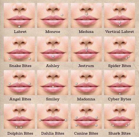 Different Kinds Of Piercings, Peircings Name Chart, Lip Piercing Names, Piercing Names, Piercings Chart, Piercing Chart, Piercing Ideas, Lip Piercing, Art References