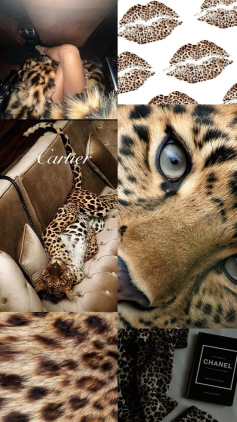 Glamour Wallpaper, Leopard Print Wallpaper, Cheetah Print Wallpaper, Siberian Tiger, Leopard Skin, Simple Iphone Wallpaper, Aesthetic Women, Pretty Wallpaper Iphone, Print Wallpaper