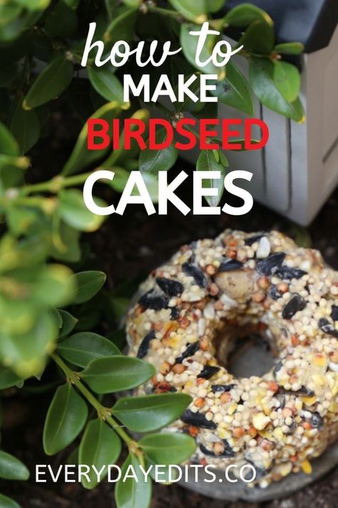 Birdseed Cakes, Bird Seed Cakes, Bird Seed Crafts, Bird Suet, Suet Cakes, Bird Seed Ornaments, Seed Balls, Karo Syrup, Bird Treats