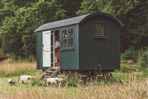 Shepherds Hut Exterior, Shepherd’s Hut, Sheperd Hut, Campground Cabins, Summer Shed, Shepard Hut, Small Orchard, Shepherds Huts, Shepherd Hut