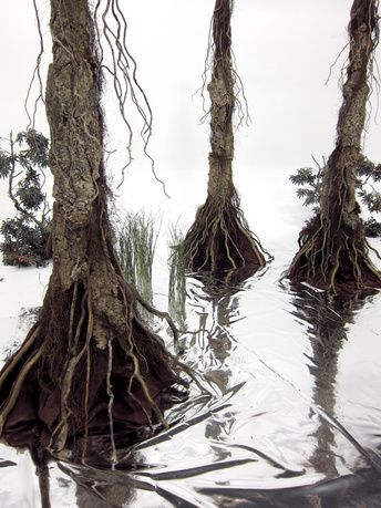 DIY swamp trees & plastic that looks like water. This is a really cool tutorial. I must try this! Swamp Trees, Swamp Party, Swamp Theme, Cyprus Trees, Voodoo Halloween, Yard Haunt, Pirate Halloween, Halloween Trees, Halloween 2019