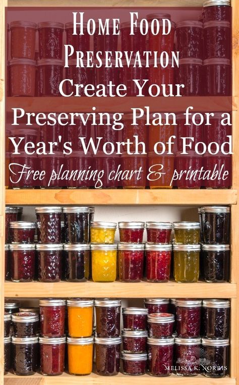 Homestead Food, Canning Food Preservation, Canned Food Storage, Canning Tips, Water Bath Canning, Home Canning, Dehydrated Food, Pressure Canning, Meals In A Jar