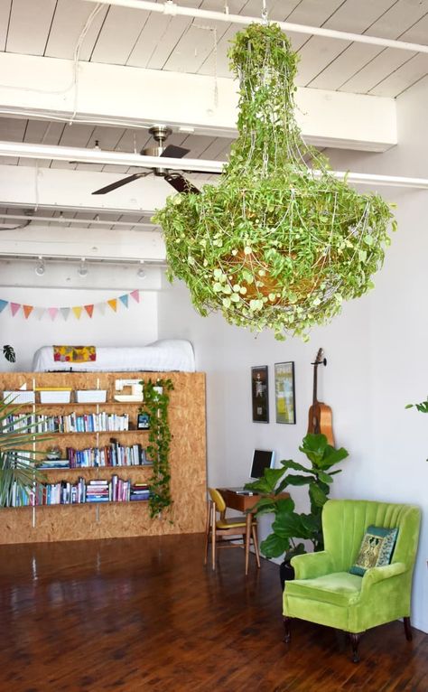 This plant-filled space has some unique methods for displaying plants indoors. The display ideas include a green plant chandelier. The space itself is bright and we love the bookshelves and the DIY lofted bed. The red door adds a pop of color. Diy Storage Pods, Plant Display Ideas, Storage Pods, Colorful Shower Curtain, Art Deco Bathroom, Nyc Studio, Plant Display, Eclectic Modern, Pothos Plant