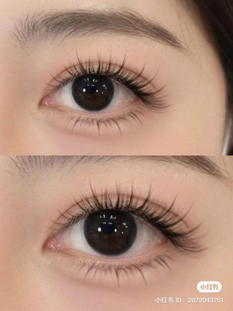 Grow Your Eyelashes, Natural Fake Eyelashes, Membentuk Alis, Bentuk Alis, Lashes Fake Eyelashes, Kutek Disney, Lash Extensions Makeup, Eyelash Extensions Styles, Perfect Eyelashes