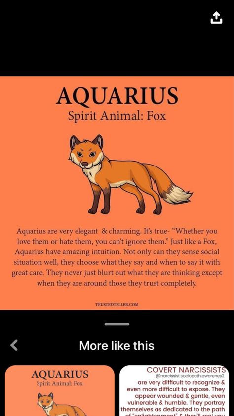 Aquarius Spirit Animal, Spirit Animal Tattoo, Bone Witch, Aquarius Tattoos, Spiritual Animals, About Aquarius, Venus In Pisces, Aquarius Personality, Fox Totem