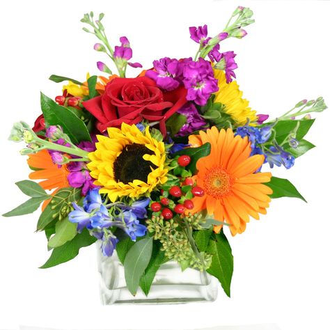 Send the Vibrant Garden Cube bouquet of flowers from Carithers Flowers - Voted Best Florist Atlanta 2012 in Atlanta, GA. Local fresh flower delivery directly from the florist and never in a box! Cement Walkway, Sunflower Theme, Boda Diy, Hydrangea Arrangements, Gerbera Daisies, Watercolor Birthday, Flower Arrangements Simple, Fresh Flower Delivery, Fall Arrangements