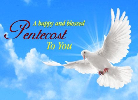 “May you are blessed by the Holy Spirit with happiness, good health, great fortune, and prosperity as you celebrate Pentecost with the people you love…. May all your good deeds bring sweet results to you and make you prosperous and Happy Pentecost Sunday 2022…” Happy Pentecost Sunday, Happy Pentecost, Birthday Wishes For A Friend Messages, Catholic Feast Days, Holy Spirit Prayer, Happy Sabbath Images, Pentecost Sunday, Ascension Day, Happy Feast