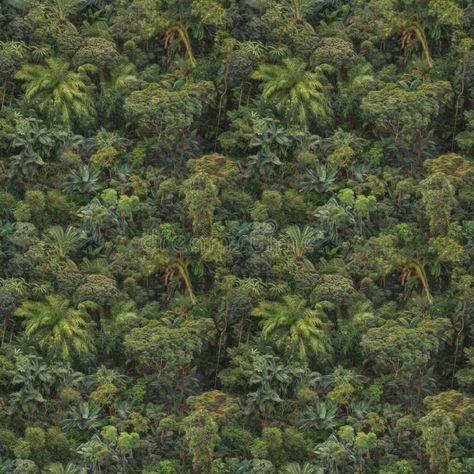 Aerial top view of lush jungle vegetation and palm trees. AI generative illustration royalty free stock photography Trees Top View, Lush Jungle, Jungle Birds, Tropical Tree, Tropical Forest, Tree Tops, Stock Photography Free, Birds Eye View, Birds Eye