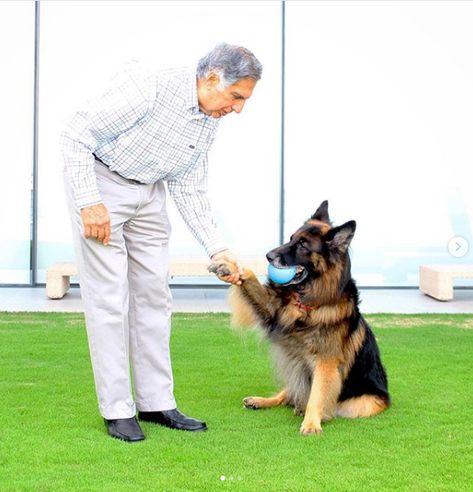 Ratan Tata Wishes His German Shepherd on Its 14th Birth Anniversary on Instagram Tata Family, Tata Young, Ratan Tata Quotes, Ratan Tata, Animal Projects, Animal Hospital, My Photo Gallery, Success Stories, Business Man