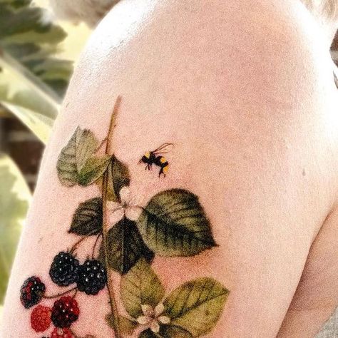 Berry Vine Tattoo, Black Berries Tattoo, Wild Berry Tattoo, Blackberries Tattoo, Blackberry Tattoos, Berry Bush Tattoo, Wild Raspberry Tattoo, Blackberry Vine Tattoo, Berry Plant Tattoo