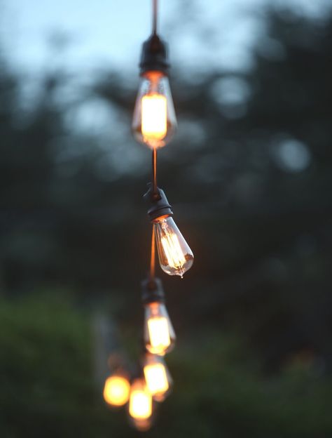 Urban Vegetable Garden, Hanging Outdoor String Lights, Urban Yard, Vegetable Garden Layout, Redwoods Wedding, Edison Bulb String Lights, Solar Patio Lights, Honey Bee Decor, Garden Layout Vegetable