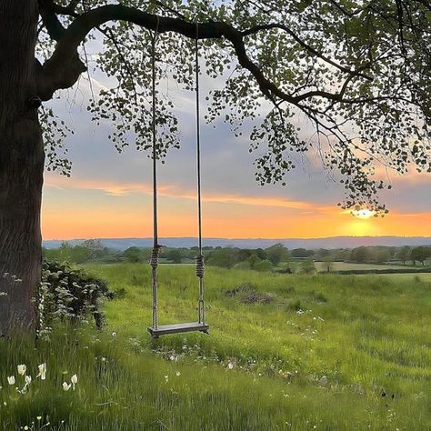 John Pawson, Tree Swing, Garden Swing, Wooden Swings, Countryside House, Wooden Tree, Natural Healing, Summer Aesthetic, Secret Garden