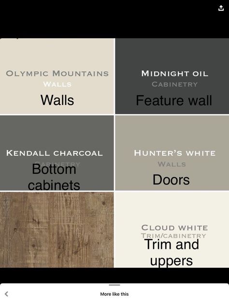 Best Colors For Dark Wood Trim, Whole House Paint Scheme Natural, Gray Kitchen Cabinets With Beige Walls, Black Paint Cabinets, Black White Wood Color Palette, Moody House Color Palette, Kendall Charcoal Cabinets, Paint Color Inspiration, House Color Palettes