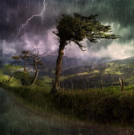 Rain And Thunderstorms, Natures Path, Storm Art, Rain And Thunder, Lightning Storm, रोचक तथ्य, Landscape Canvas Art, Sound Of Rain, Photos Hd