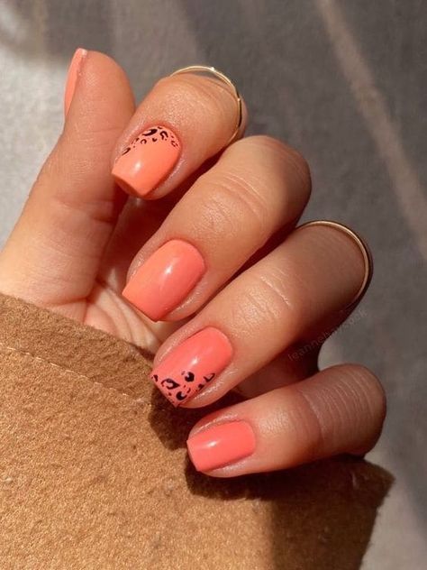 short coral nails with leopard print accent Simple Coral Nails, Neon Coral Nails Design, Salmon Nails Designs, Coral Gel Nail Designs, Cute Coral Nails, Coral Nail Art Summer, Coral Nail Designs Summer, Coral And Gold Nails Design, Pastel Coral Nails