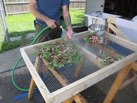 Garden Wash Table, Produce Washing Station, Garden Wash Station, Produce Wash, Wash Station, Washing Station, Wire Fencing, Raised Garden Bed Plans, Water Drain