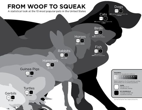 woof to squeak infographic What Is An Infographic, Dog Infographic, Animal Infographic, Keynote Design, Data Visualization Design, Info Design, Infographic Design Inspiration, Design Presentation, Charts And Graphs