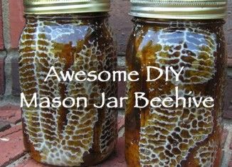 Awesome DIY Mason Jar Beehive Backyard Beehive, Bee Hive Plans, Raising Bees, Bee Colony, Backyard Beekeeping, Diy Jar Crafts, Backyard Diy Projects, Organic Honey, Jar Diy