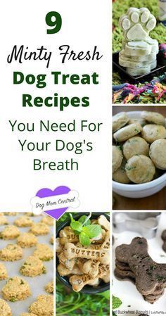 These 9 mint dog treat recipes will leave your dog's breath feeling fresh and fabulous. Oh, and they're super easy to make. Homemade Pet Treats, Dogs Treats, Dog Biscuit Recipes, Easy Dog Treats, Dog Breath, Dog Treats Homemade Recipes, Food Dog, Treats Recipes, Diy Dog Treats