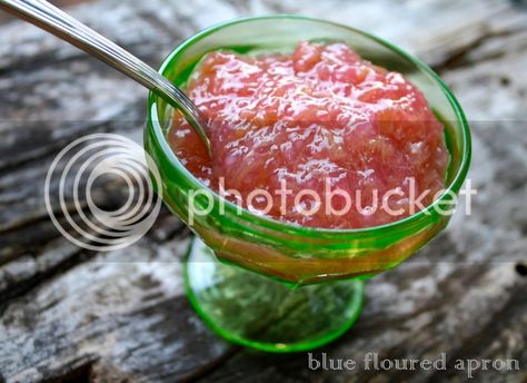 Blue Floured Apron: Rhubarb Tapioca Pudding Fannie Farmer Recipes, Healthy Rhubarb Recipes, Rhubarb Tea, Rhubarb Crunch, Strawberry Rhubarb Sauce, Stewed Rhubarb, Rhubarb Pudding, Farmer Recipes, Tapioca Recipes