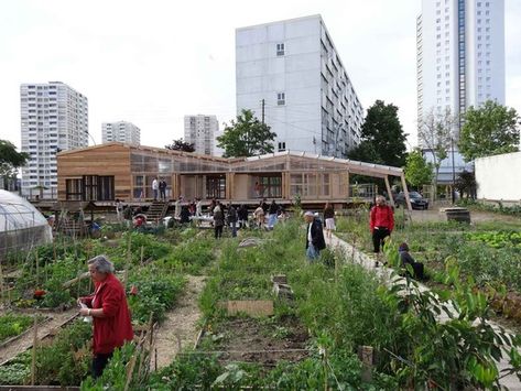 Rooftop Garden Urban, Collective Housing, Urban Agriculture, Architectural Practice, Education Architecture, Community Gardening, Permaculture, Urban Garden, Urban Design