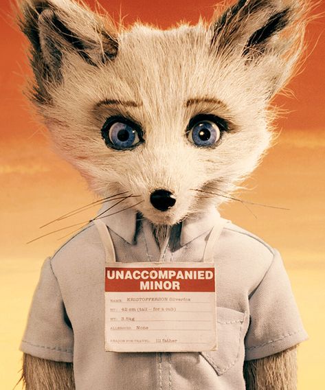 Cousin Kristofferson. Animorphic Characters, Wes Anderson Aesthetic, Fantastic Fox, Mister Fantastic, Wes Anderson Movies, Wes Anderson Films, Moonrise Kingdom, Fantastic Mr Fox, Septième Art