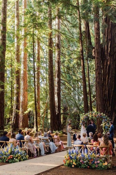 This Must Be The Place: 29 Magical Micro Wedding Venues Across The US. Photo: @lizbanfield Santa Lucia Preserve, Redwood Wedding, Redwood Forest, Brooklyn Wedding, Santa Lucia, Ceremony Location, Family Wedding, Forest Wedding, Dreamy Wedding